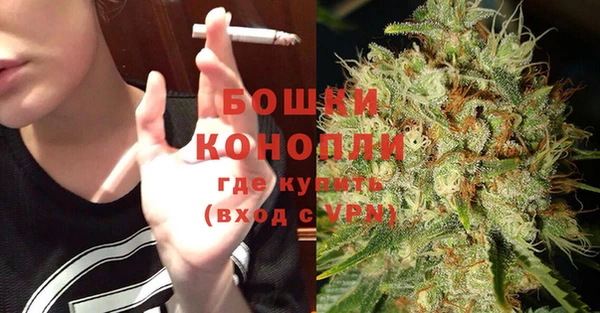 PSILOCYBIN Алзамай