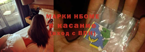 PSILOCYBIN Алзамай