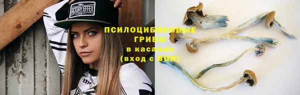 PSILOCYBIN Алзамай