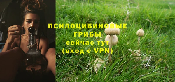 mix Алексеевка