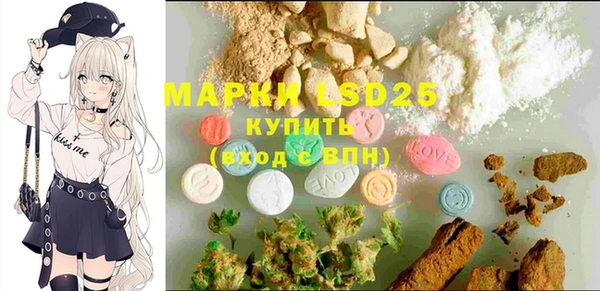 PSILOCYBIN Алзамай