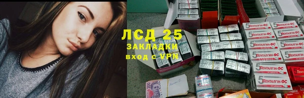 PSILOCYBIN Алзамай