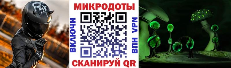 наркота  Алзамай  Галлюциногенные грибы Cubensis 